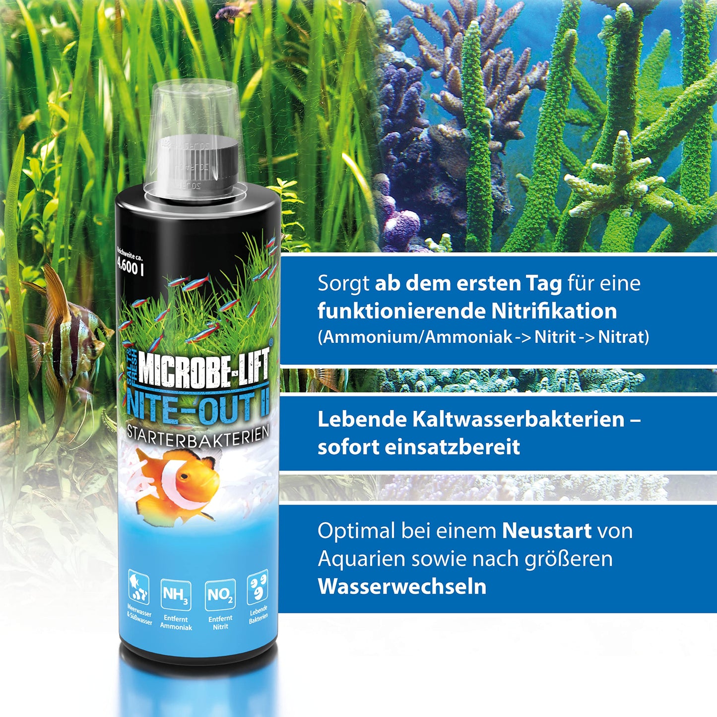 Your one-stop shop for diverse, top-quality aquarium supplies and accessories