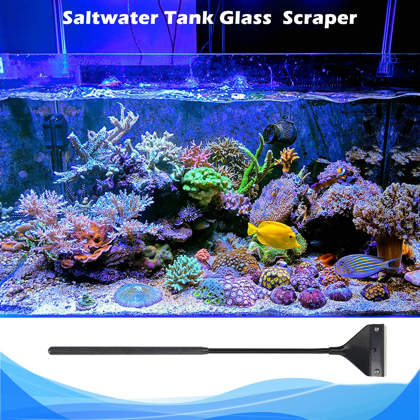 Your one-stop shop for diverse, top-quality aquarium supplies and accessories