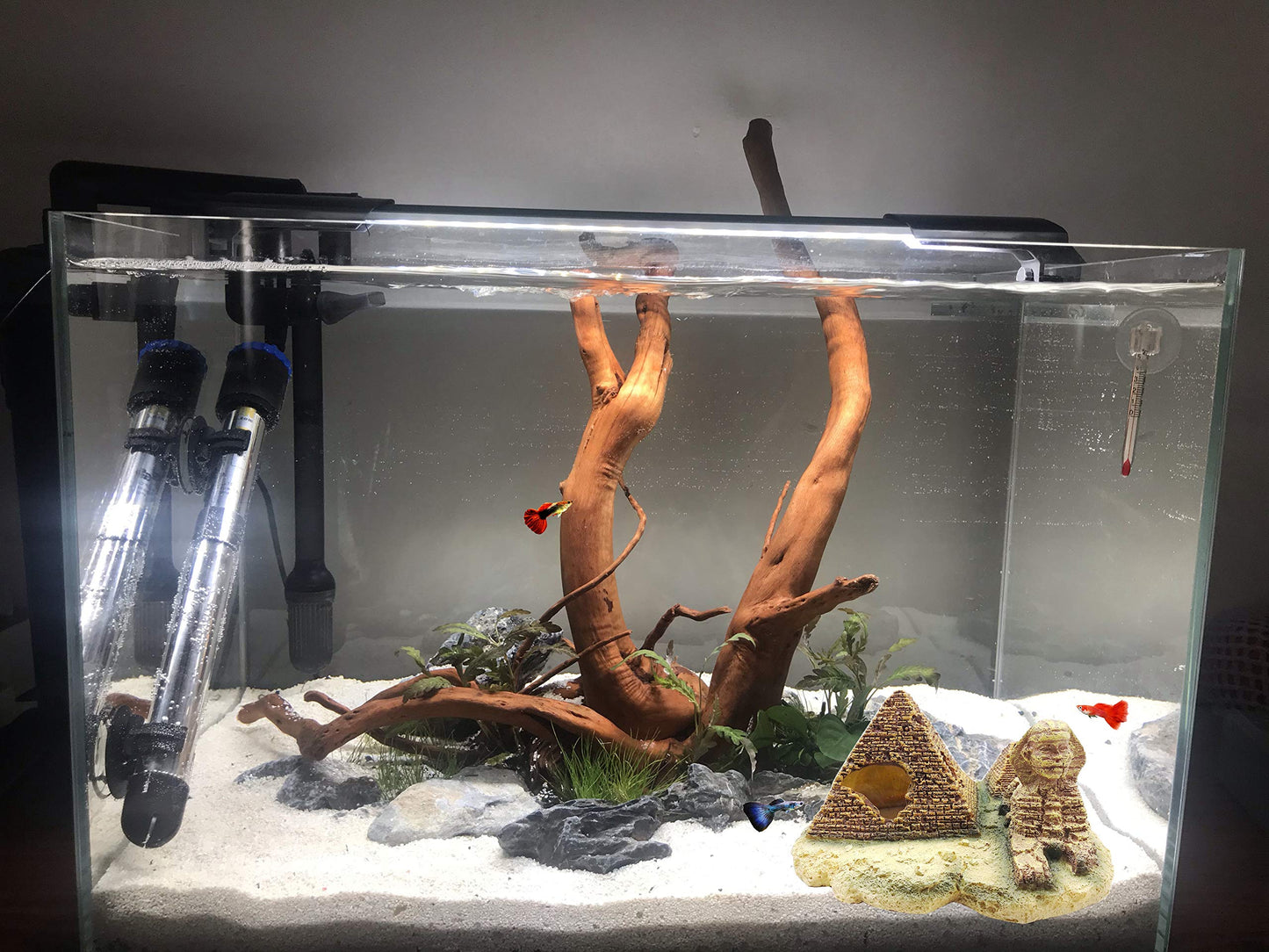 Your one-stop shop for diverse, top-quality aquarium supplies and accessories