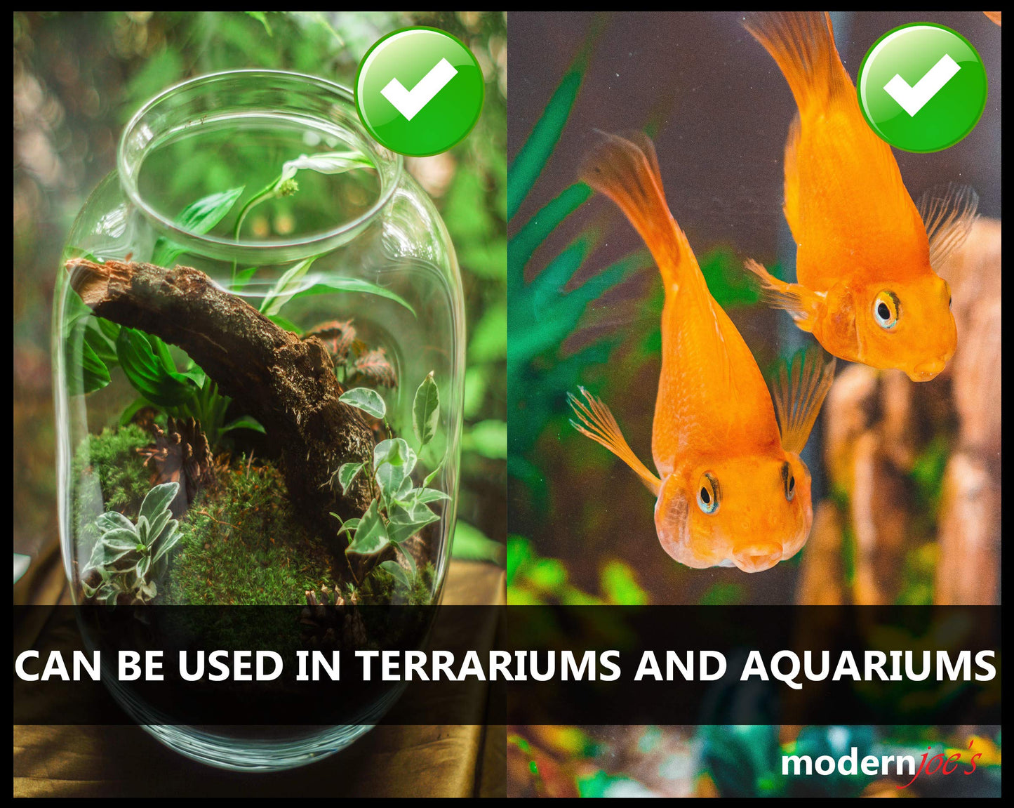 Your one-stop shop for diverse, top-quality aquarium supplies and accessories
