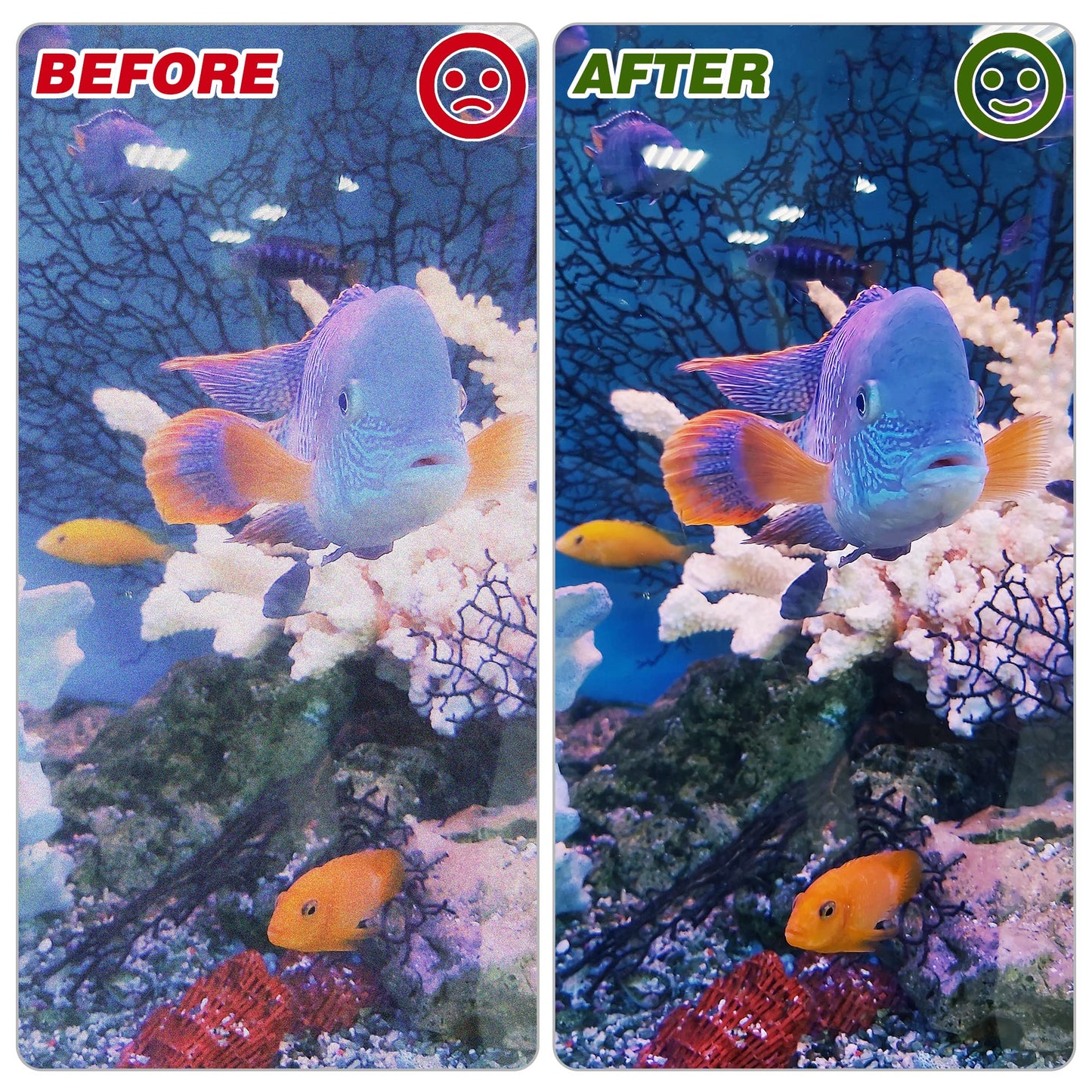 Your one-stop shop for diverse, top-quality aquarium supplies and accessories