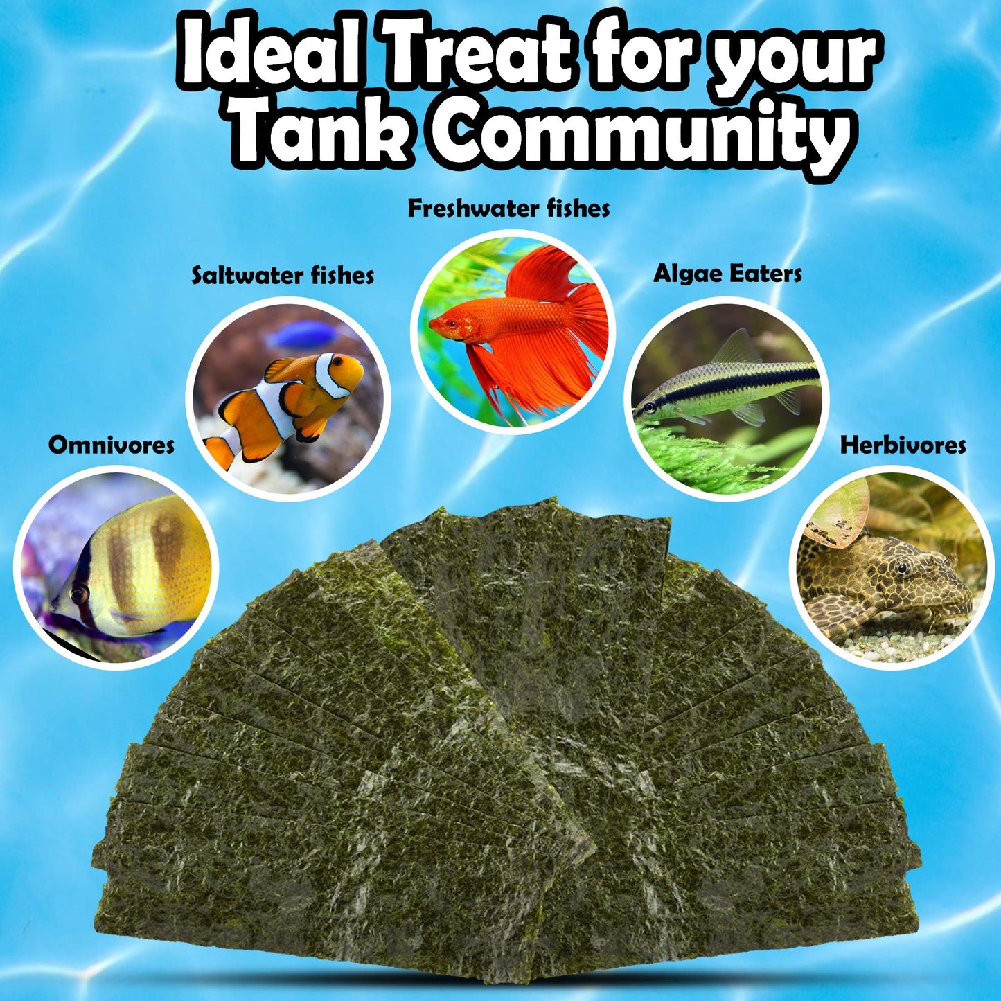 Your one-stop shop for diverse, top-quality aquarium supplies and accessories