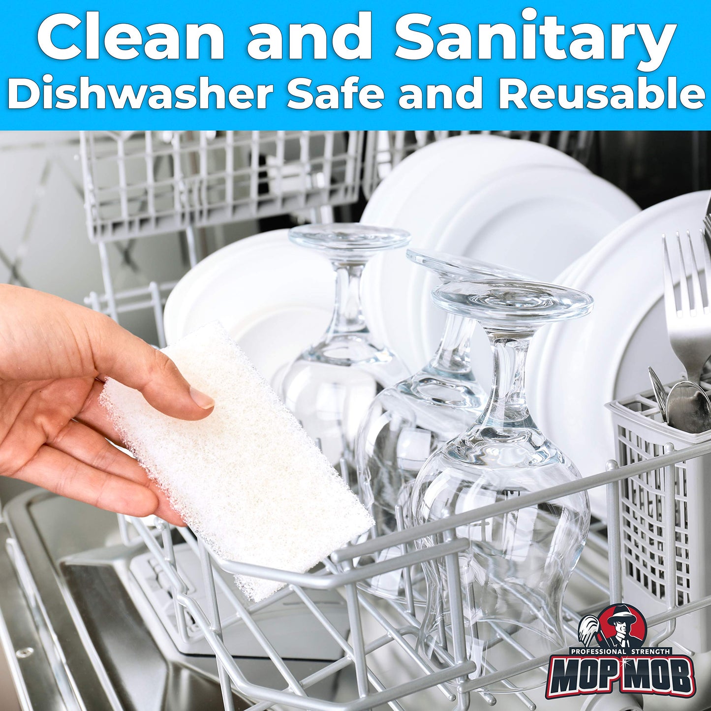 Your one-stop shop for diverse, top-quality aquarium supplies and accessories