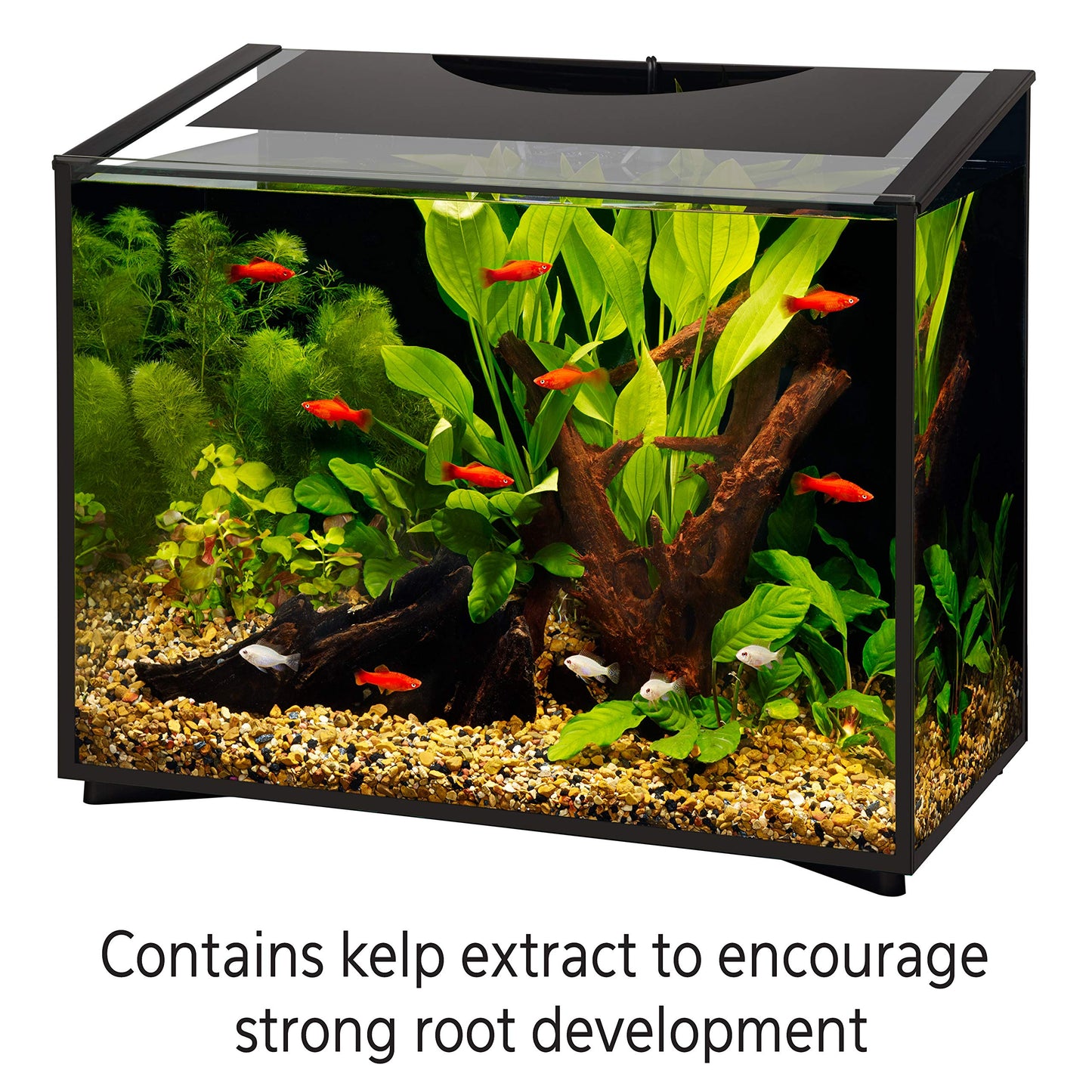 Your one-stop shop for diverse, top-quality aquarium supplies and accessories