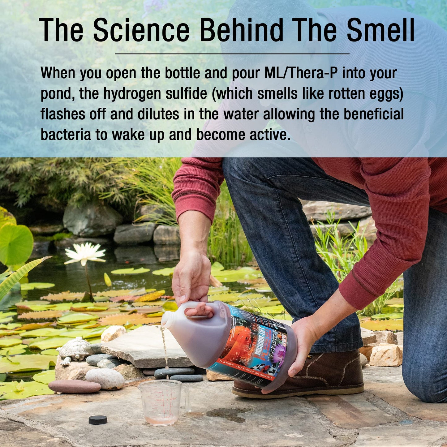 Your one-stop shop for diverse, top-quality aquarium supplies and accessories