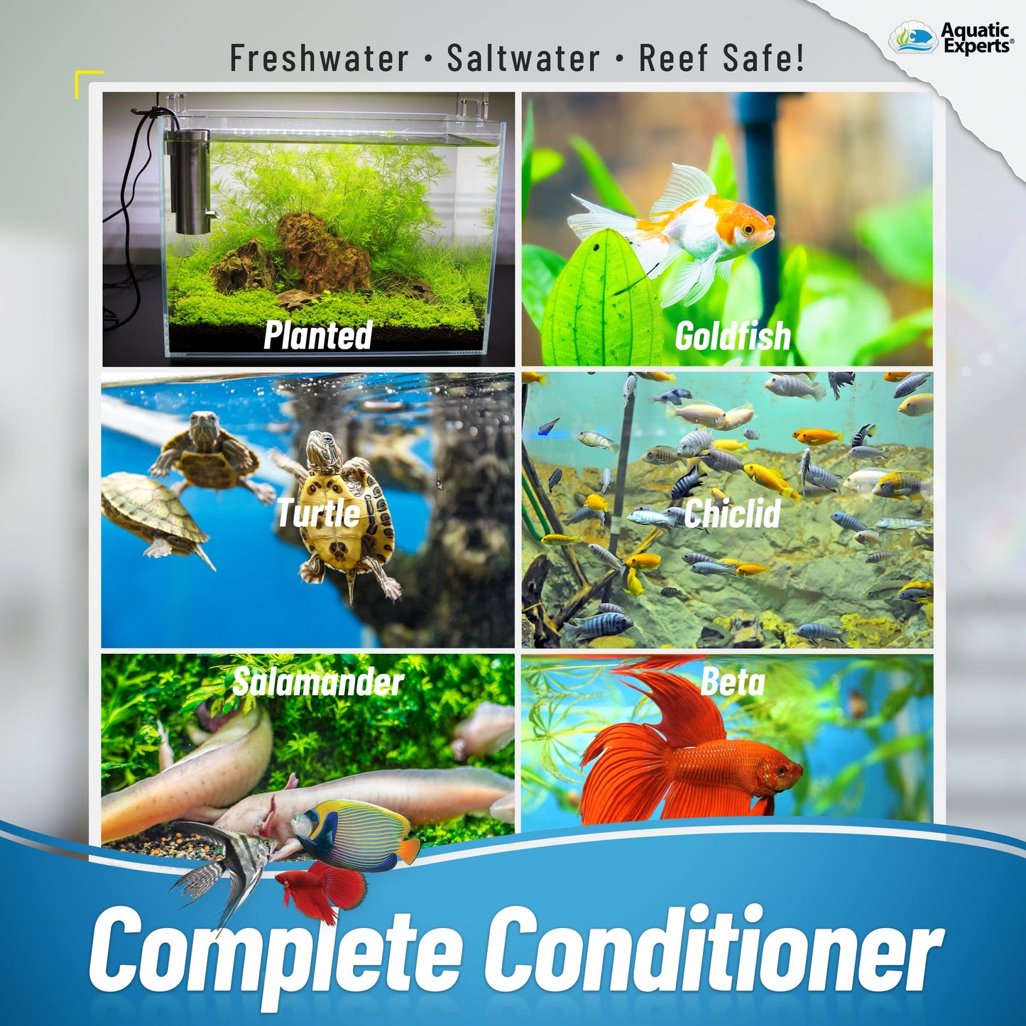 Your one-stop shop for diverse, top-quality aquarium supplies and accessories