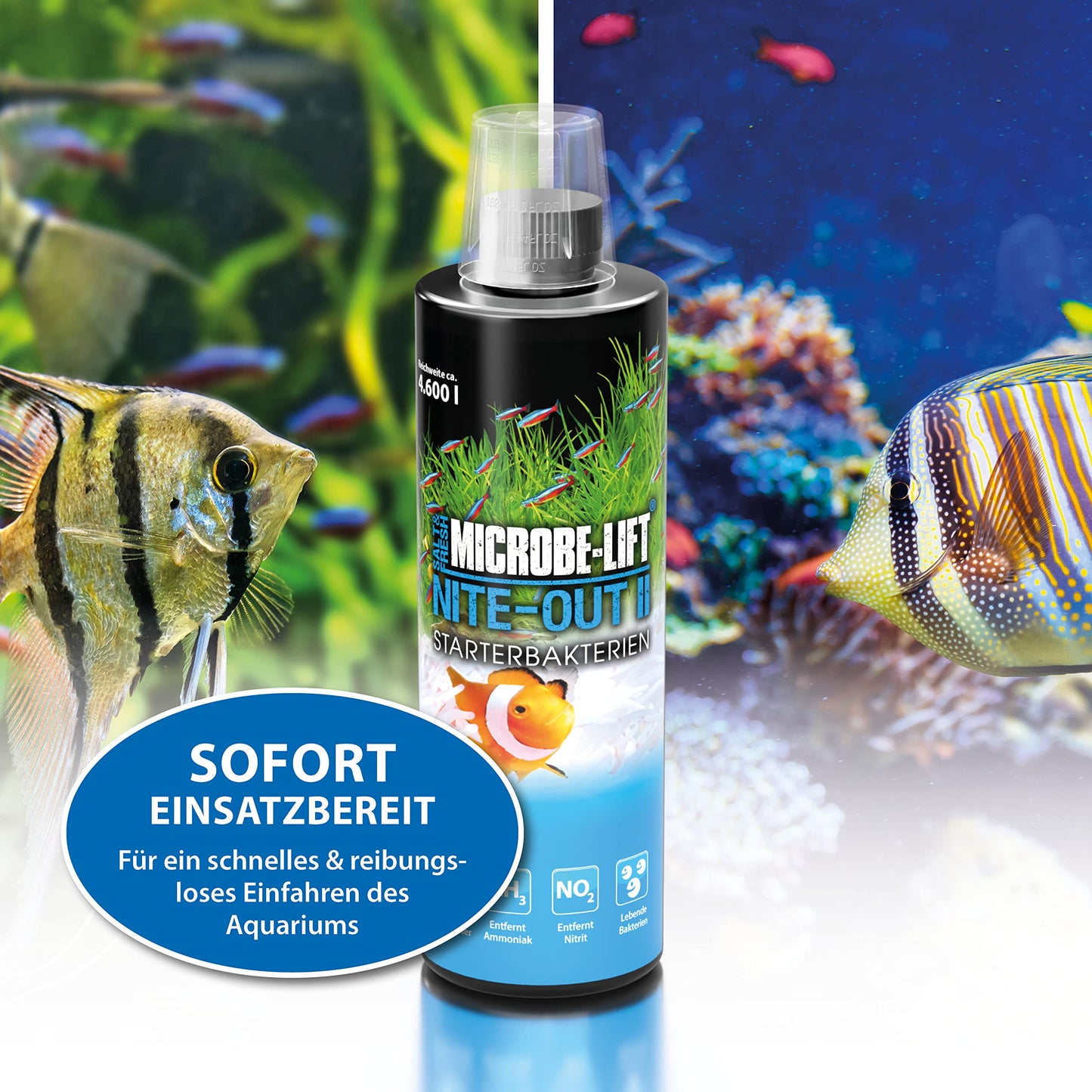 Your one-stop shop for diverse, top-quality aquarium supplies and accessories