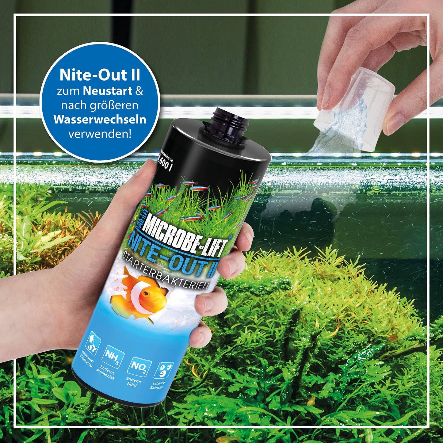 Your one-stop shop for diverse, top-quality aquarium supplies and accessories