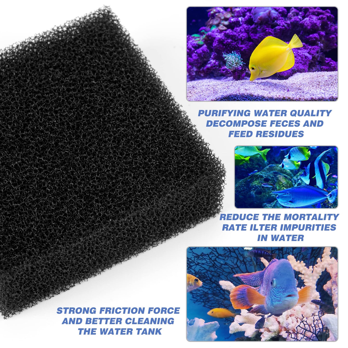 Your one-stop shop for diverse, top-quality aquarium supplies and accessories