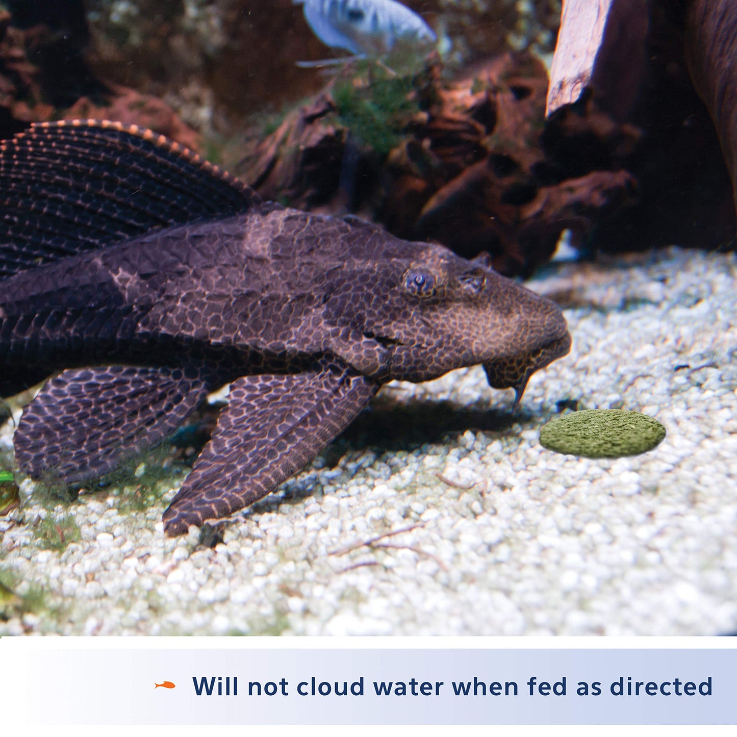 Your one-stop shop for diverse, top-quality aquarium supplies and accessories