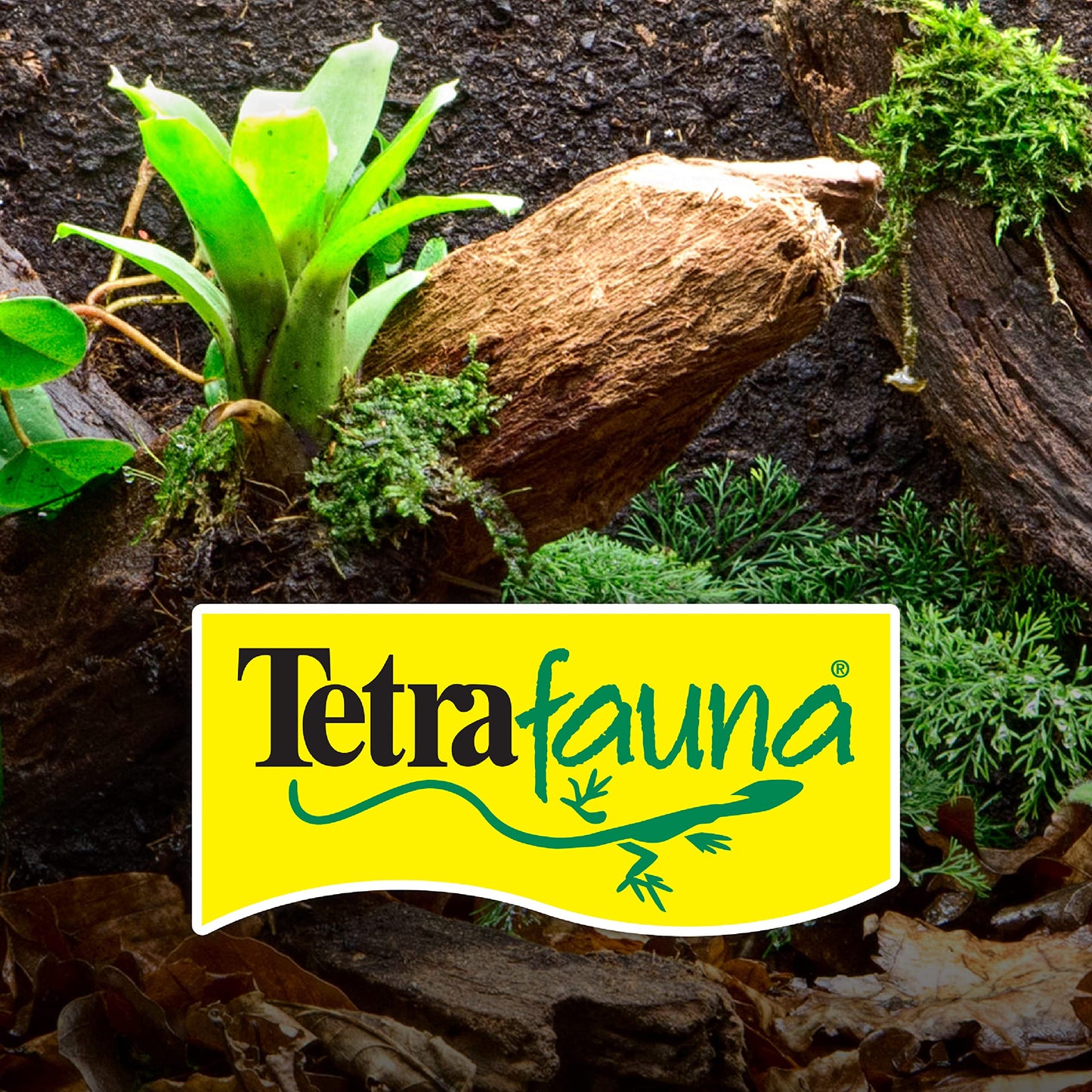 Your one-stop shop for diverse, top-quality aquarium supplies and accessories