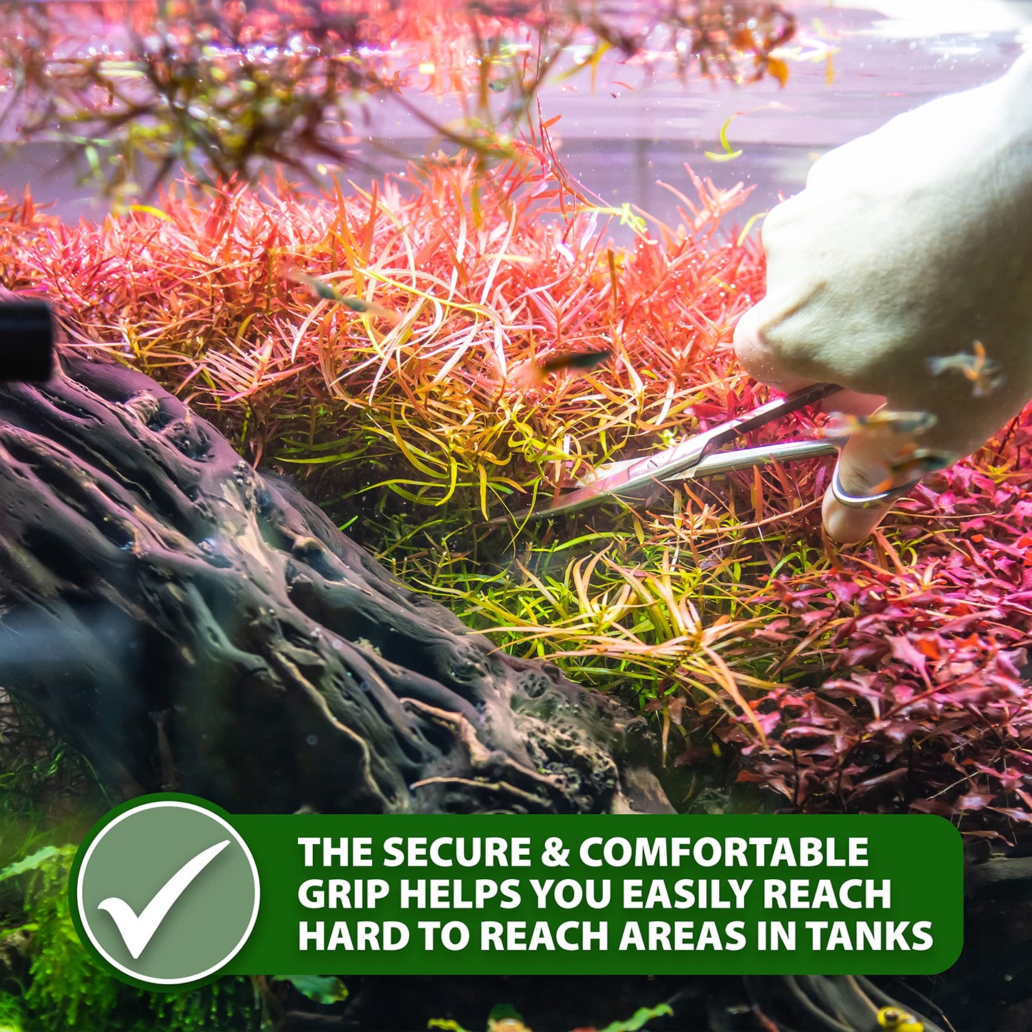 Your one-stop shop for diverse, top-quality aquarium supplies and accessories