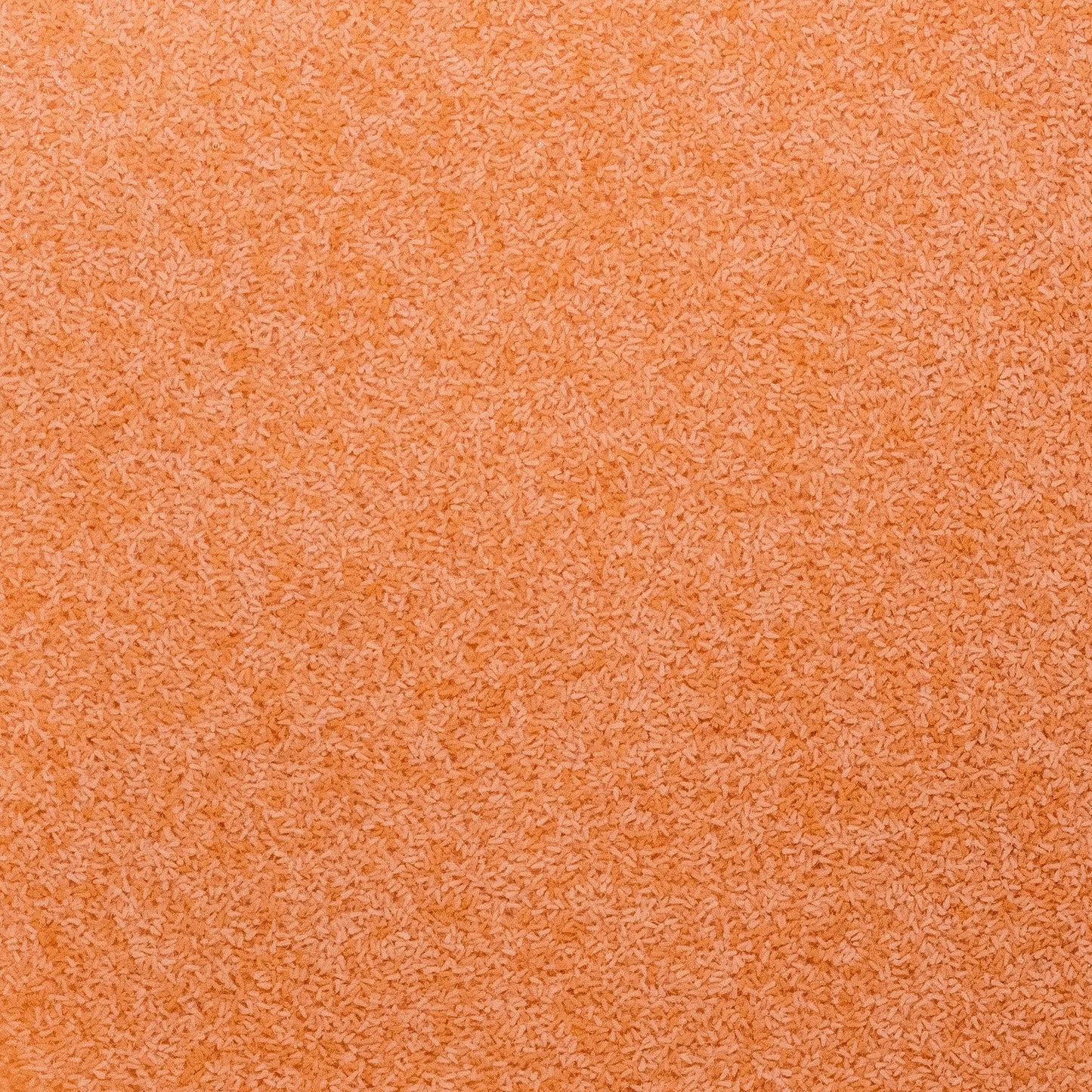 Your one-stop shop for diverse, top-quality aquarium supplies and accessories