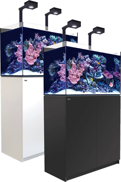 Complete Aquariums