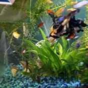 Your one-stop shop for diverse, top-quality aquarium supplies and accessories