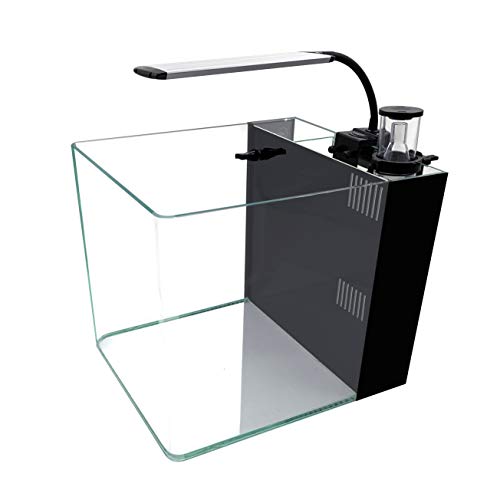 Your one-stop shop for diverse, top-quality aquarium supplies and accessories