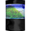 Your one-stop shop for diverse, top-quality aquarium supplies and accessories