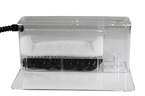 Your one-stop shop for diverse, top-quality aquarium supplies and accessories