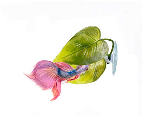 Your one-stop shop for diverse, top-quality aquarium supplies and accessories