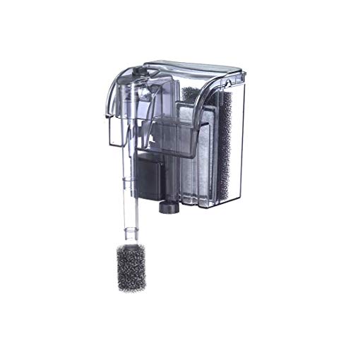 Your one-stop shop for diverse, top-quality aquarium supplies and accessories