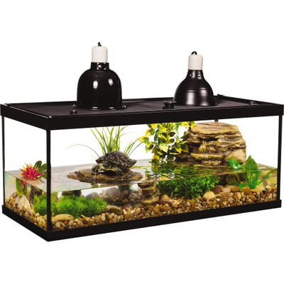 Your one-stop shop for diverse, top-quality aquarium supplies and accessories