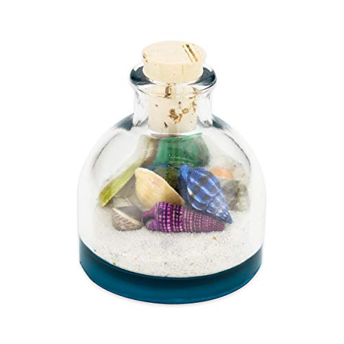 Your one-stop shop for diverse, top-quality aquarium supplies and accessories