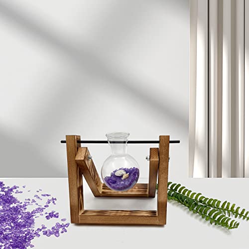 Your one-stop shop for diverse, top-quality aquarium supplies and accessories