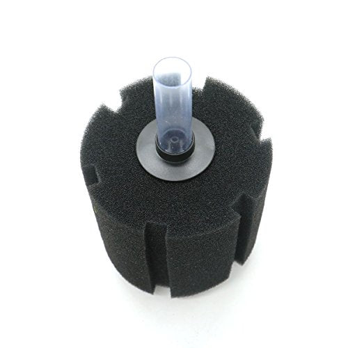 Your one-stop shop for diverse, top-quality aquarium supplies and accessories