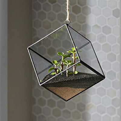 Your one-stop shop for diverse, top-quality aquarium supplies and accessories