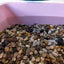 Your one-stop shop for diverse, top-quality aquarium supplies and accessories