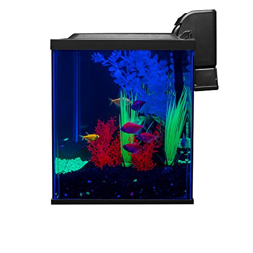 Glofish 10 Gallon Aquarium Fish Tank Kits, Includes LED Lighting and D Supply AG Glofish 10 Gallon Aquarium Fish Tank Kits, Includes LED Lighting and D Supply AG
