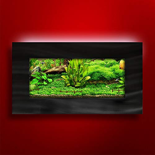 Your one-stop shop for diverse, top-quality aquarium supplies and accessories