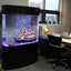 Your one-stop shop for diverse, top-quality aquarium supplies and accessories