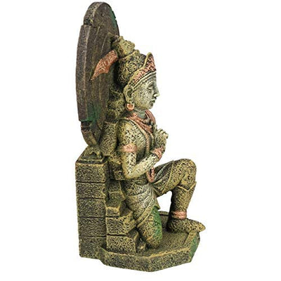 Your one-stop shop for diverse, top-quality aquarium supplies and accessories