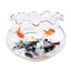 Your one-stop shop for diverse, top-quality aquarium supplies and accessories