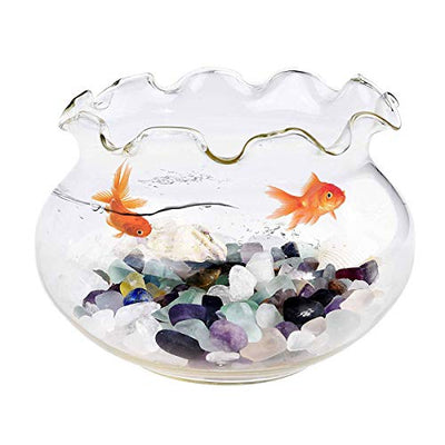 Your one-stop shop for diverse, top-quality aquarium supplies and accessories
