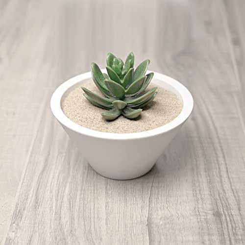 Your one-stop shop for diverse, top-quality aquarium supplies and accessories