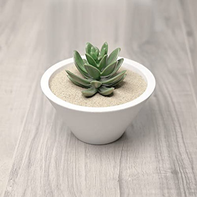 Your one-stop shop for diverse, top-quality aquarium supplies and accessories