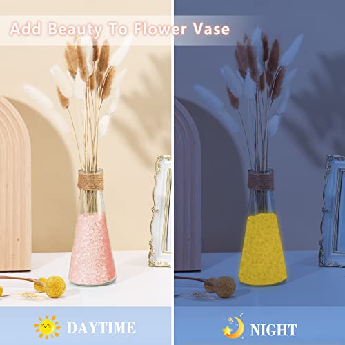 Your one-stop shop for diverse, top-quality aquarium supplies and accessories