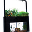 Your one-stop shop for diverse, top-quality aquarium supplies and accessories