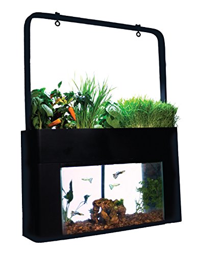 Your one-stop shop for diverse, top-quality aquarium supplies and accessories