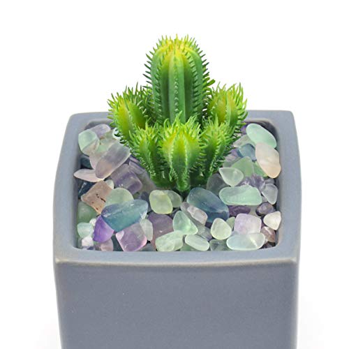 Your one-stop shop for diverse, top-quality aquarium supplies and accessories