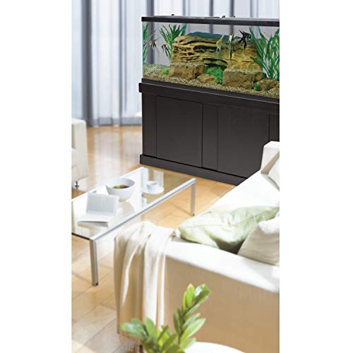 Your one-stop shop for diverse, top-quality aquarium supplies and accessories
