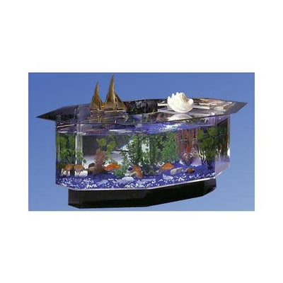 Your one-stop shop for diverse, top-quality aquarium supplies and accessories