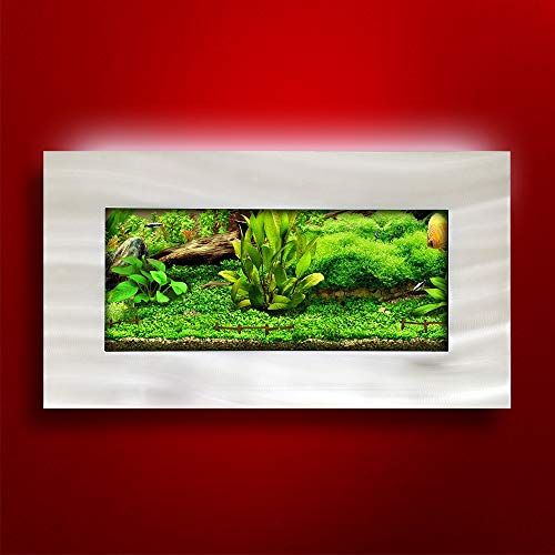 Your one-stop shop for diverse, top-quality aquarium supplies and accessories