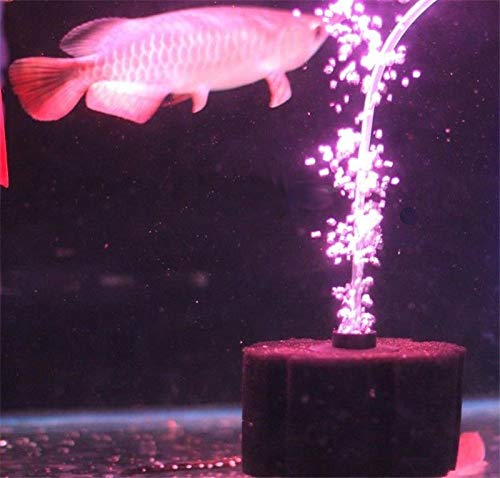 Your one-stop shop for diverse, top-quality aquarium supplies and accessories