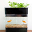 Your one-stop shop for diverse, top-quality aquarium supplies and accessories