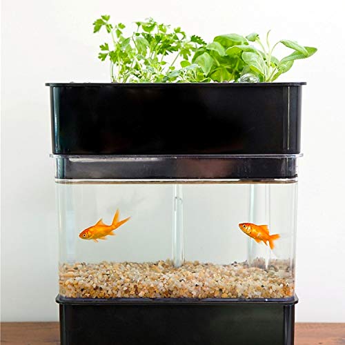 Your one-stop shop for diverse, top-quality aquarium supplies and accessories