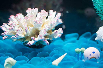 Your one-stop shop for diverse, top-quality aquarium supplies and accessories