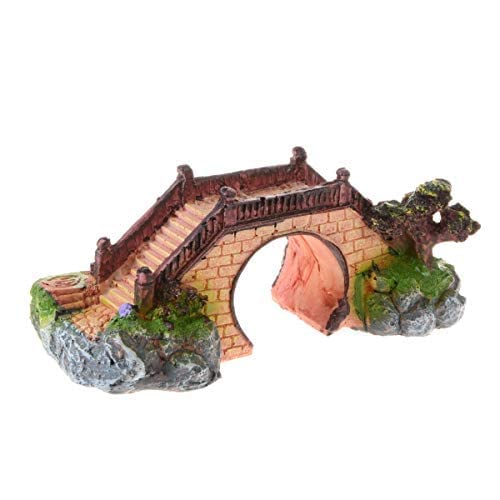 Your one-stop shop for diverse, top-quality aquarium supplies and accessories